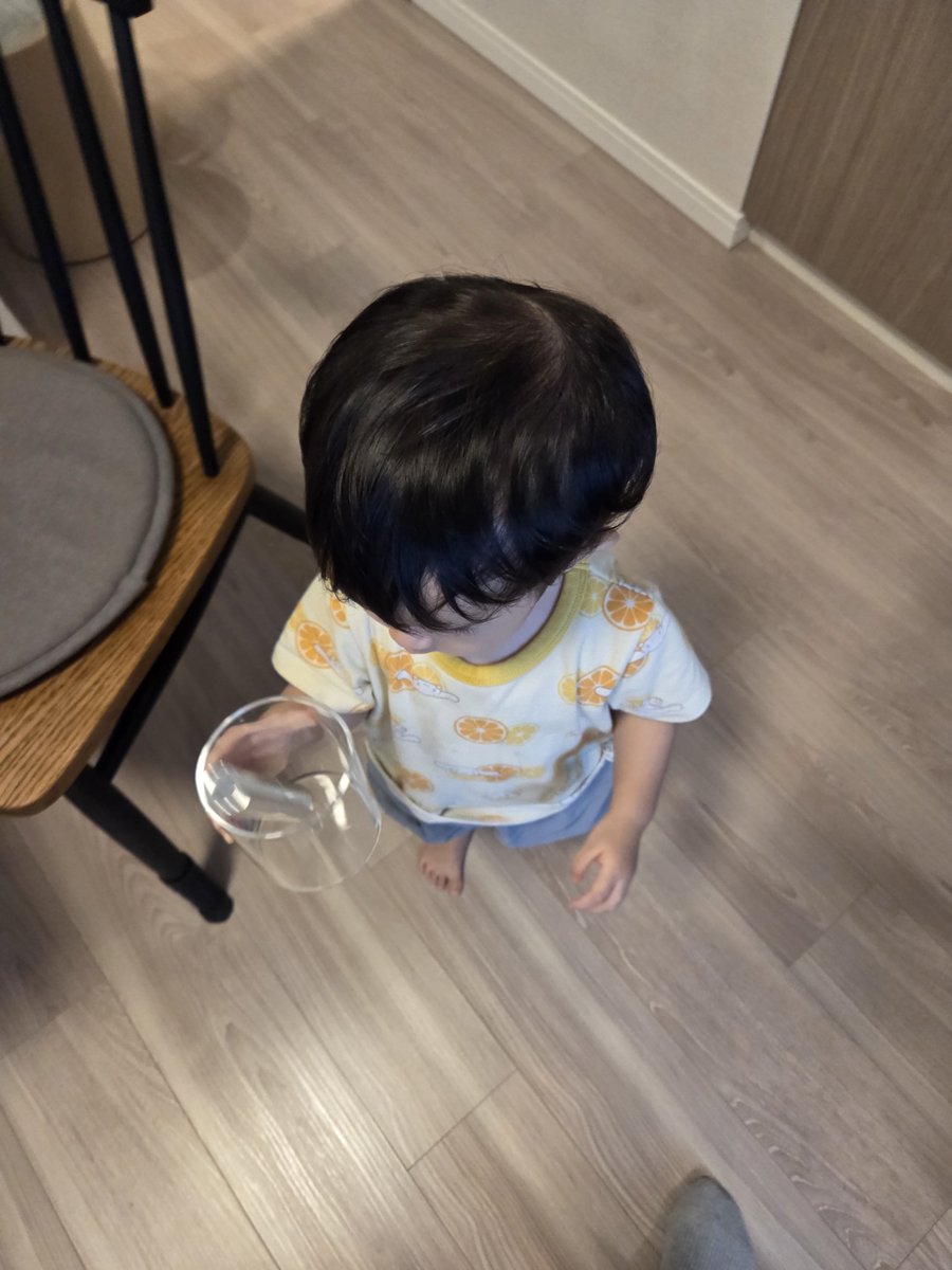 helmet0925's tweet photo. どうして君というやつはこちらが用意したベビーサークルという安全地帯を嫌がるんだい？おもちゃもたくさん入ってるのにな。わざわざ危険地帯に飛び込んで日用品を荒らさないと気が済まないのかい？それは母のIPSAです。ぶん投げるのはやめたまえ。 https://t.co/ghvDOE5SHA