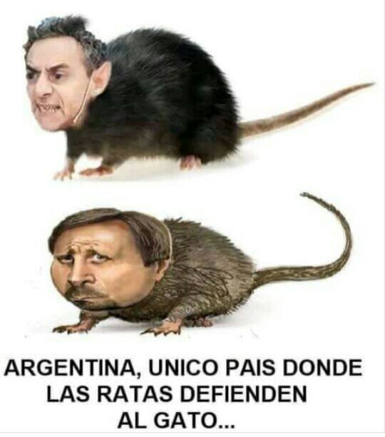 josemarr2000's tweet photo. #Argentina 👇🏻👇🏻👇🏻 https://t.co/aJMarNQsx0