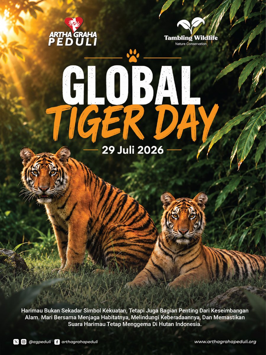 agpeduli's tweet photo. 🐅 GLOBAL TIGER DAY | 29 Juli 2026 🌿

Mari bersama menjaga harimau dan habitatnya untuk keseimbangan alam dan masa depan bumi kita.
#GlobalTigerDay #HarimauSumatera #AGPeduli #ArthaGrahaPeduli #TamblingWildlife https://t.co/Jrv2VvyQCO