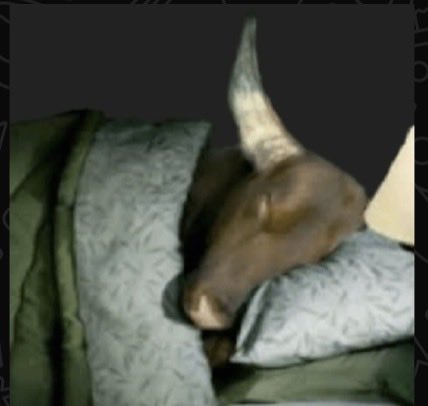 sugus912's tweet photo. asi voy a dormir hoy https://t.co/L8pVMvArn7