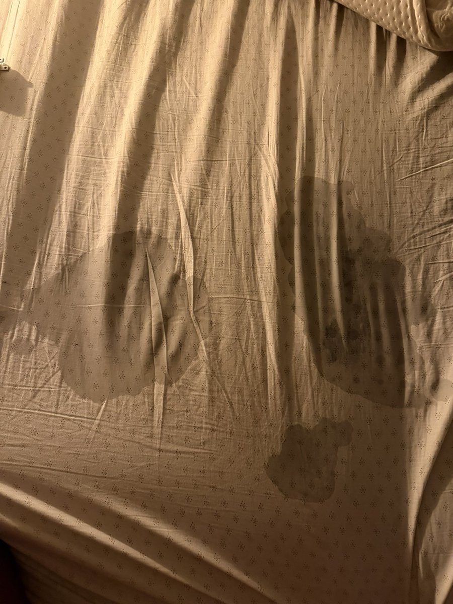 Jamesy7m9's tweet photo. Do NOT wear pull ups to bed. I didn’t even realize I was peeing until I felt really warm. Turns out- I’m not a big boy. I need big baby diapers at night so I don’t wet the bed 😔 Will I EVER get potty trained?

#adbl #dl #diaperboy #diaperlover #gay #gayabdl #wetting #humiliation https://t.co/i4fmPC3vi7