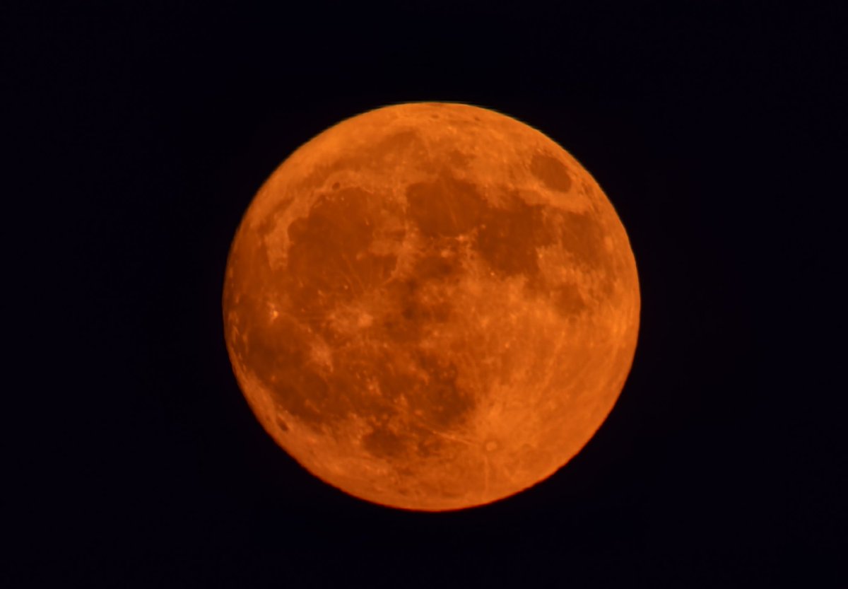 JordanHallWX's tweet photo. Big ole red moon tonight https://t.co/j6cO4vqvpg