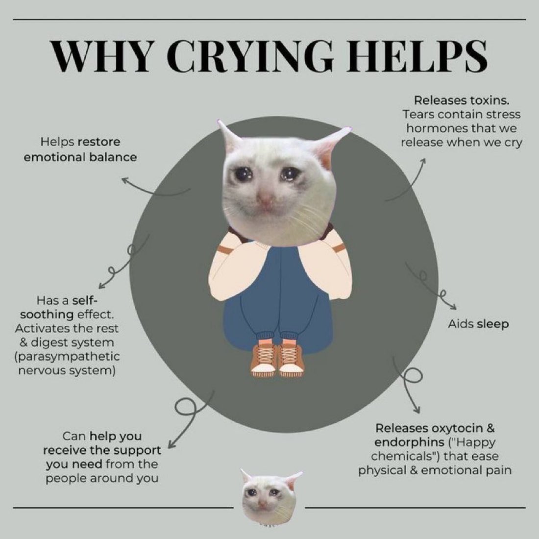 CryingCat__RH's tweet photo. Trust the science

$CryingCat https://t.co/YjAjiJBlej