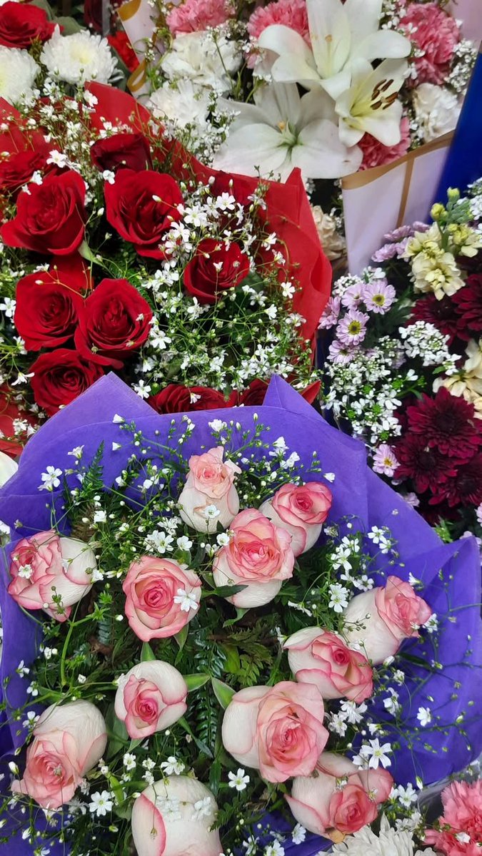 Nature Flowers 💐 tweet media