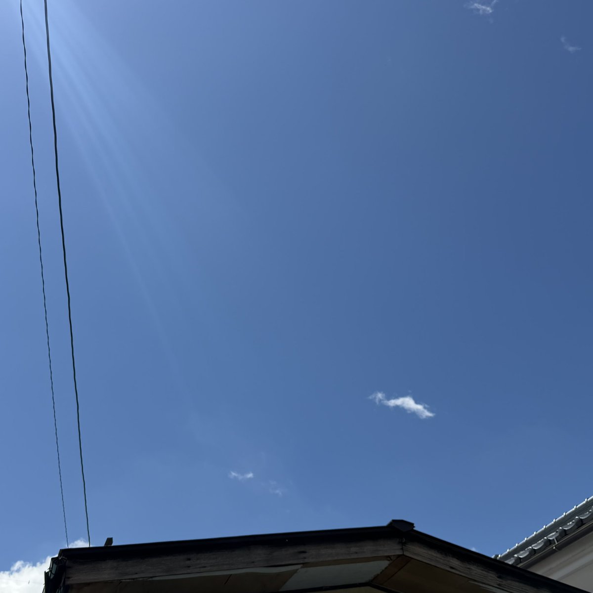 oneworduser's tweet photo. おはよーございまーす🥳

とっても賑やかに騒がしい愉快な夏の夜を過ごしてもみて。
親しい人達と言葉を交わす豊かな時間を楽しめた幸せ。
すっかり明けて仕舞えばどこまでも高く青い晴れ空が広がっていた。
またここからだと目標に向かって一歩を踏み出して👍

さーってとやりますかー‼️ https://t.co/5A8H7kRXCQ
