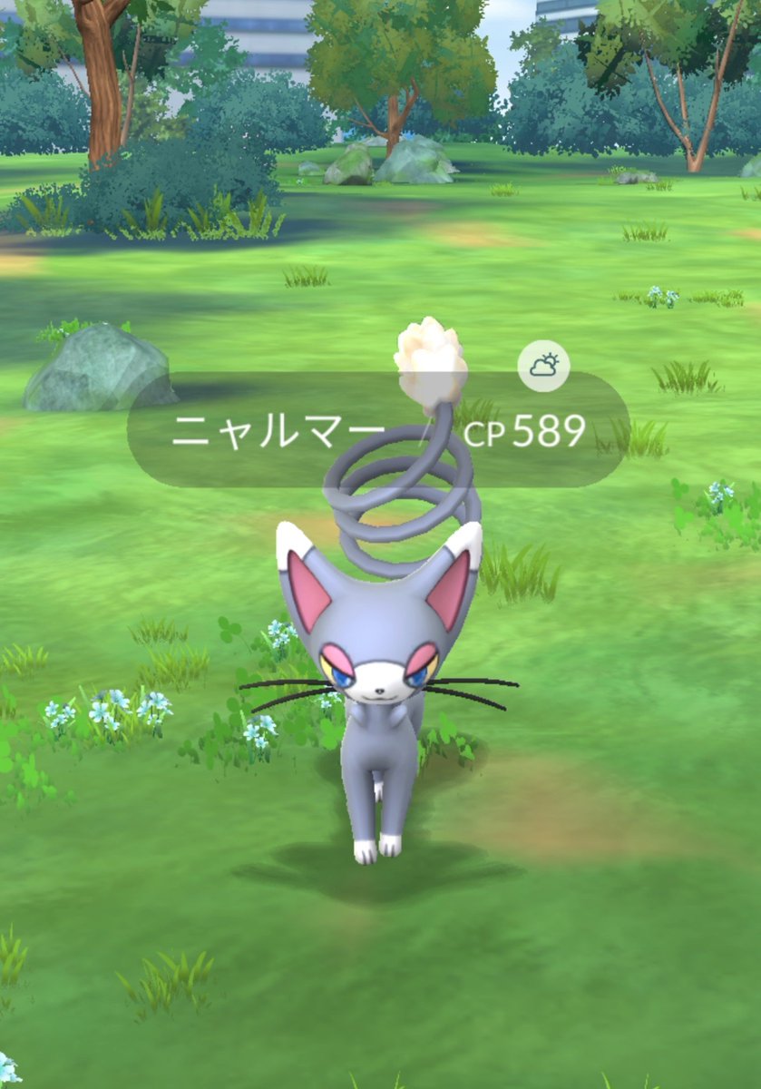 Pokemon_wan's tweet photo. 昼のポケモン占い　
昼の一匹はニャルマー https://t.co/WwwhuDj5tR