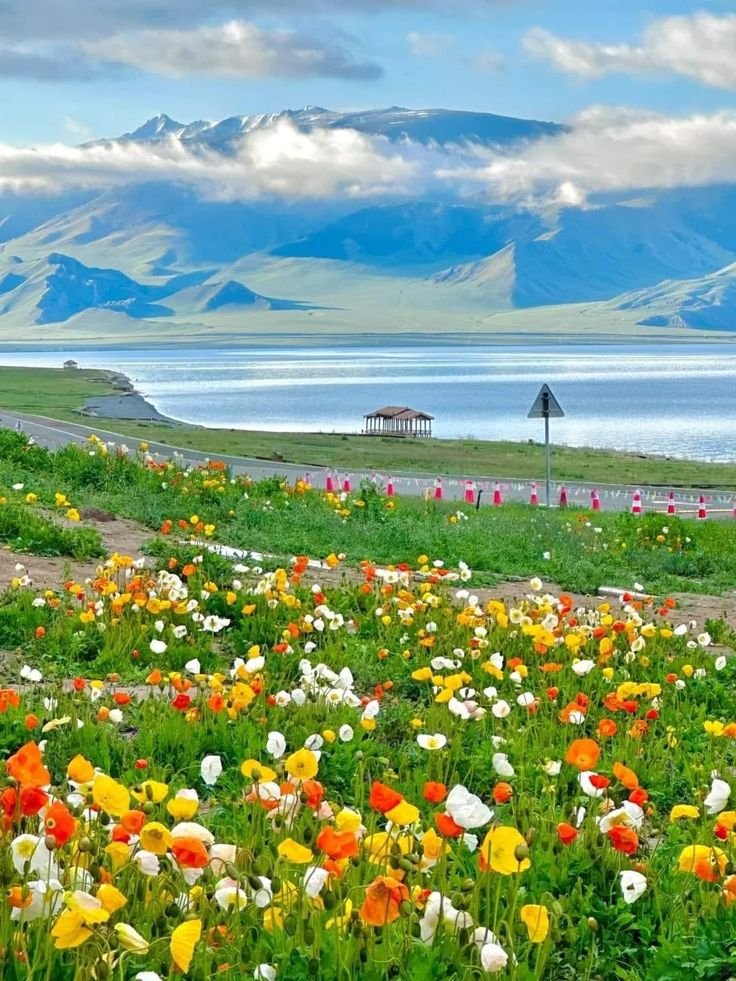 earthwhisperss's tweet photo. Colors of beautiful summer https://t.co/sagvN0HvKy