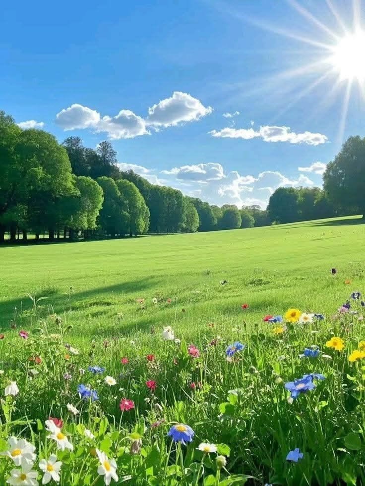 earthwhisperss's tweet photo. Colors of beautiful summer https://t.co/sagvN0HvKy