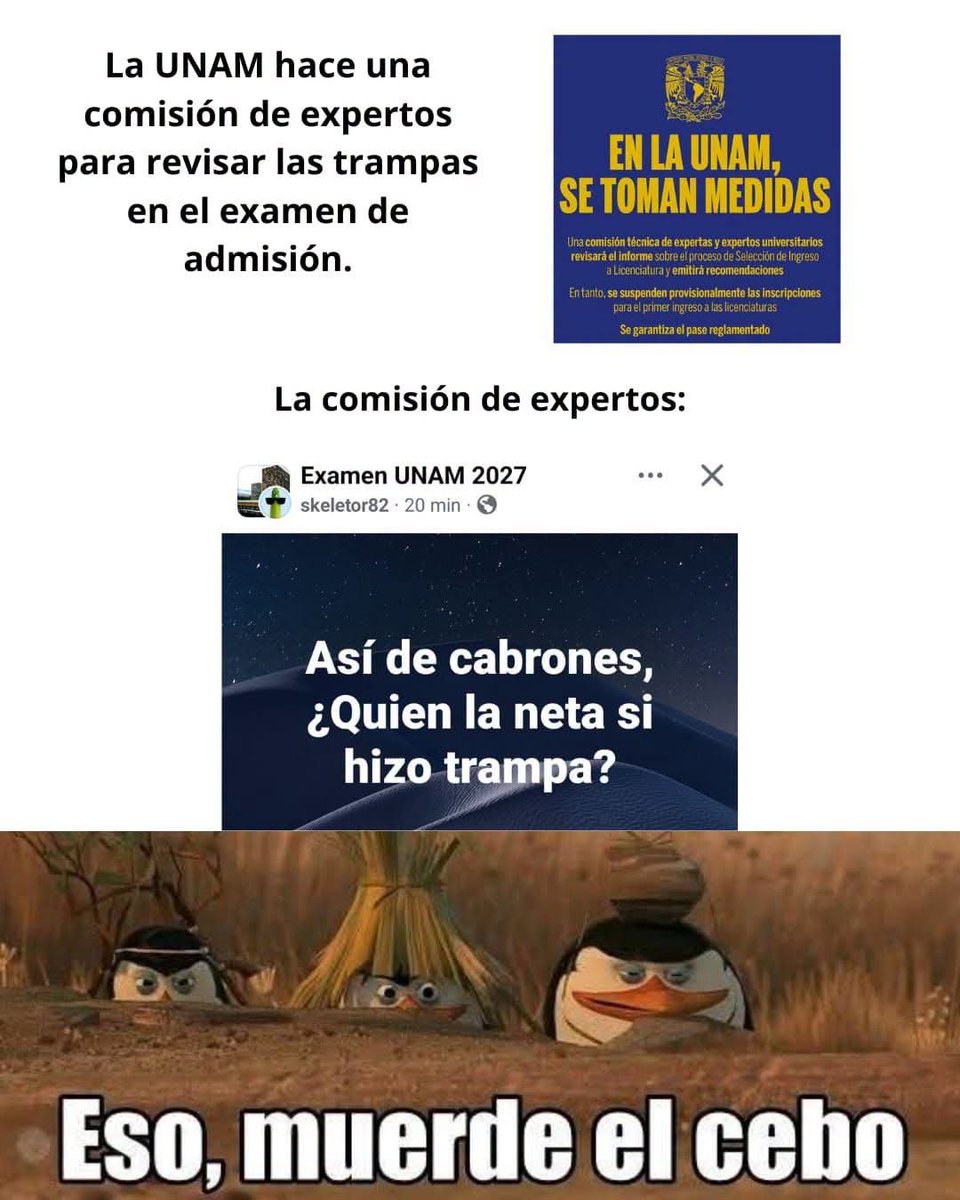 Jason6968800521's tweet photo. @Eduardo_DSales Lo bueno esq ya está investigando 🙀 https://t.co/LKCqR6Lf0Q
