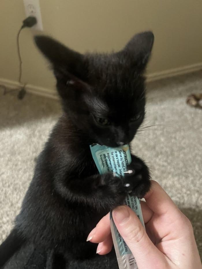 blackscats's tweet photo. https://t.co/ykhfkwHYsh