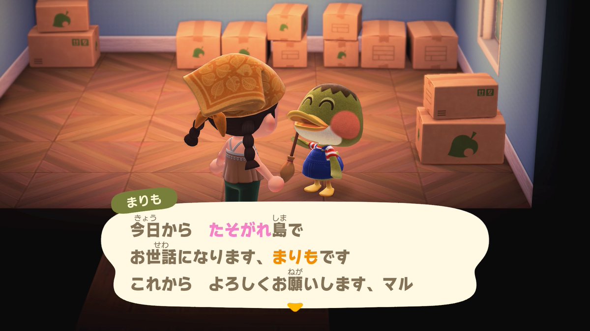kp_rc2's tweet photo. 今日はひとりだから帰ったらどうぶつの森するぞ〜！
そして昨日5人目の住民はまりもちゃん！
この子かわいい🥹 https://t.co/yWOow5MFKS