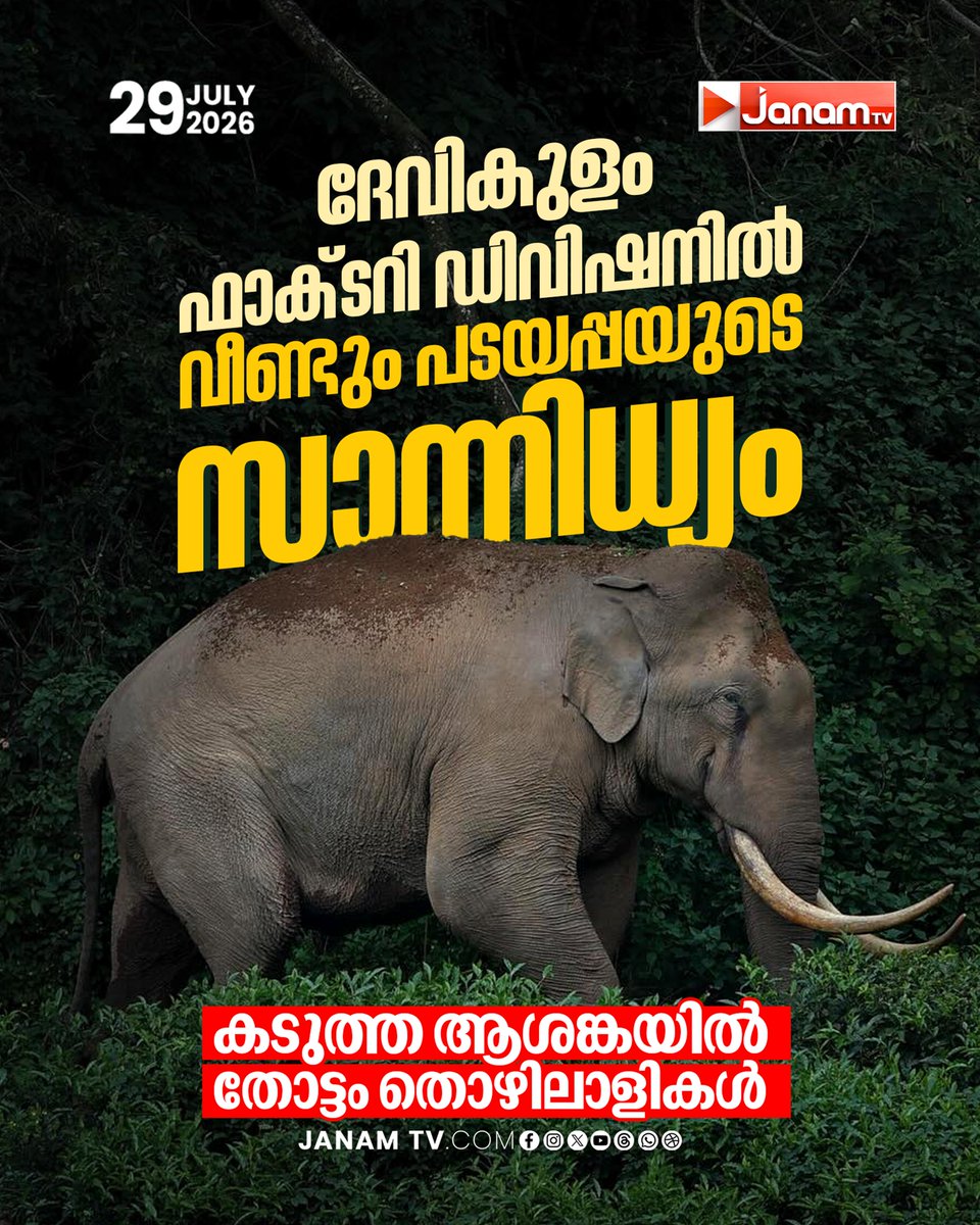 tvjanam's tweet photo. ദേവികുളം ഫാക്ടറി ഡിവിഷനിൽ വീണ്ടും കാട്ടുകൊമ്പൻ
പടയപ്പയുടെ സാന്നിധ്യം, കടുത്ത ആശങ്കയിൽ തോട്ടം തൊഴിലാളികൾ
#JanamTv #janamnews #devikulam #padayappaelephant https://t.co/izurF0BXa2