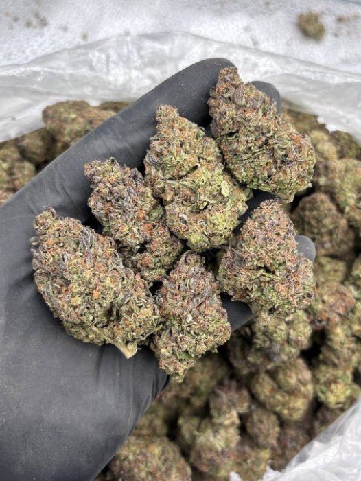 HempSup420's tweet photo. Super Cherries 🍒💯✈️🔥📦

P: $1000
Text: +1 7653352982

https://t.co/E25bbdXD4l https://t.co/0hurWzq65R