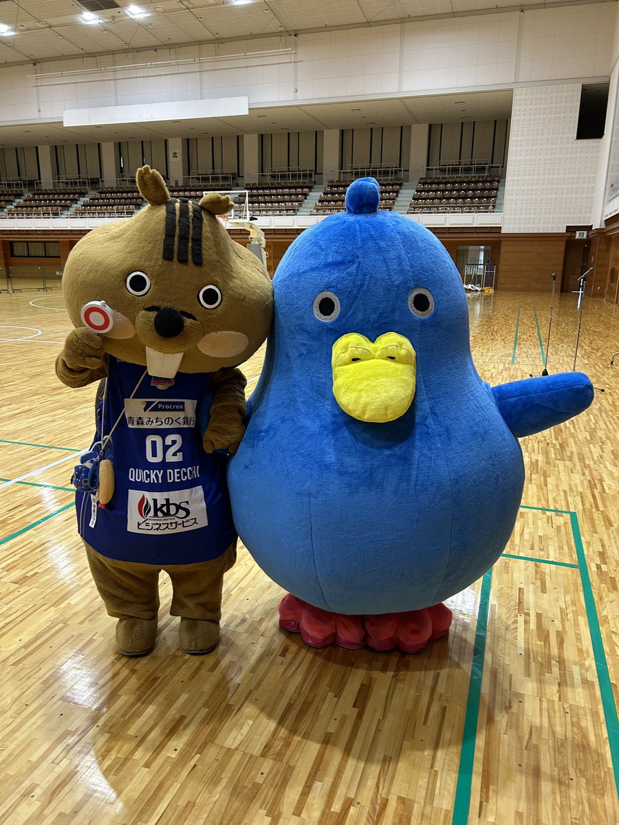 aomori_wats's tweet photo. ／
#クイッキー・デッチ も大活躍🐿️🌟
＼

先日開催された「東北電力Presents 中学生バスケ教室 in弘前市」では、練習に励む子どもたちへ熱いエールを送り、イベントを盛り上げてくれました📣🔥

#アップリートくん、#東北電力 株式会社の #マカプゥ とも仲良く交流🤝

#寺嶋恭之介 選手とも抜群のコンビネーションでした🏀💙

たくさんの笑顔に包まれた、素敵な一���となりました☺️🫧

@quicky_decchi 
#青森ワッツ