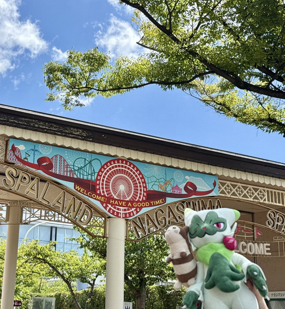 mofumofu_nyaro's tweet photo. ながすぱ来たー☀️🏊 https://t.co/rME9AhwKgL