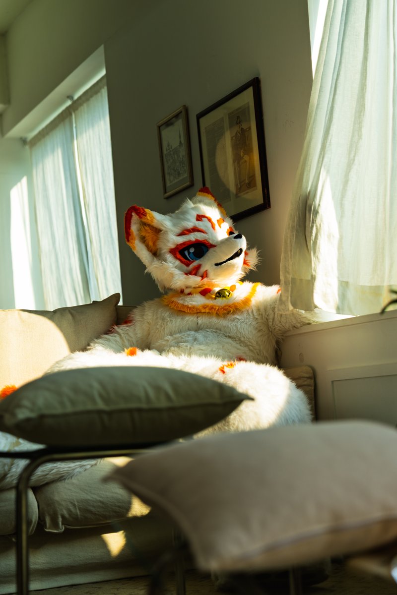 Meoru_butler's tweet photo. 🦊☀️
#FursuitEveryday https://t.co/xST3TM2e9e