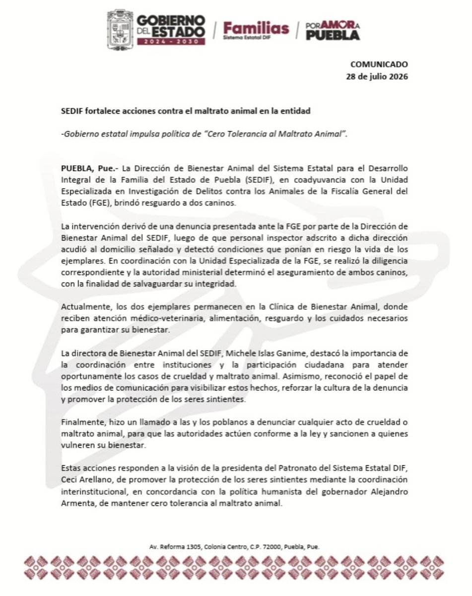 DIBAGobPue's tweet photo. La Dirección de Bienestar Animal del @DIFGobPue, en coadyuvancia con la Fiscalía General del Estado, logró el resguardo de dos caninos.🐕💙

COMUNICADO
Más información aquí:
https://t.co/ChbvmE3aY2

#PorAmorAPuebla
#PorAmorALosSeresSintientes https://t.co/pysn0N86bo