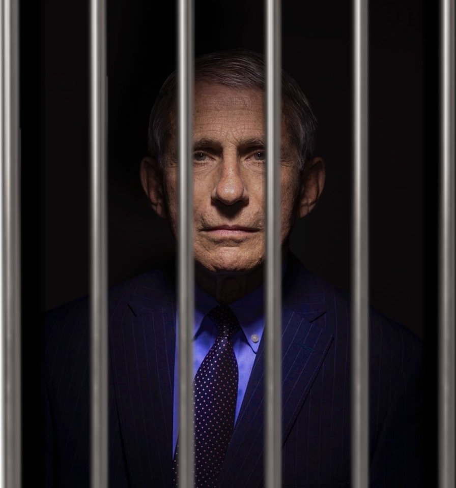PlanetOfMemes's tweet photo. Prosecute Fauci. https://t.co/z7gDiSTmVz