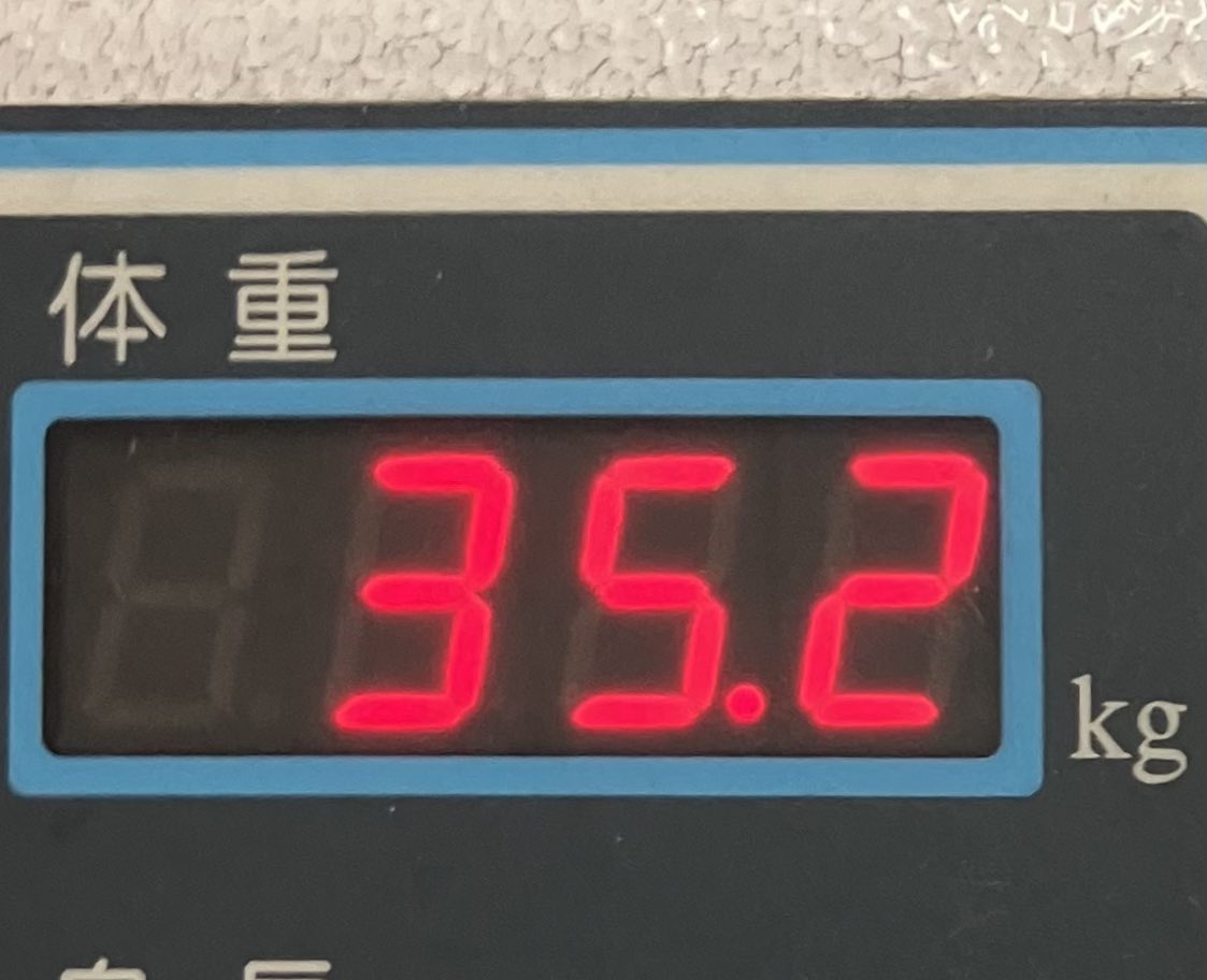 Rinko4004's tweet photo. やっばい・・・ https://t.co/jeXJOsI56p