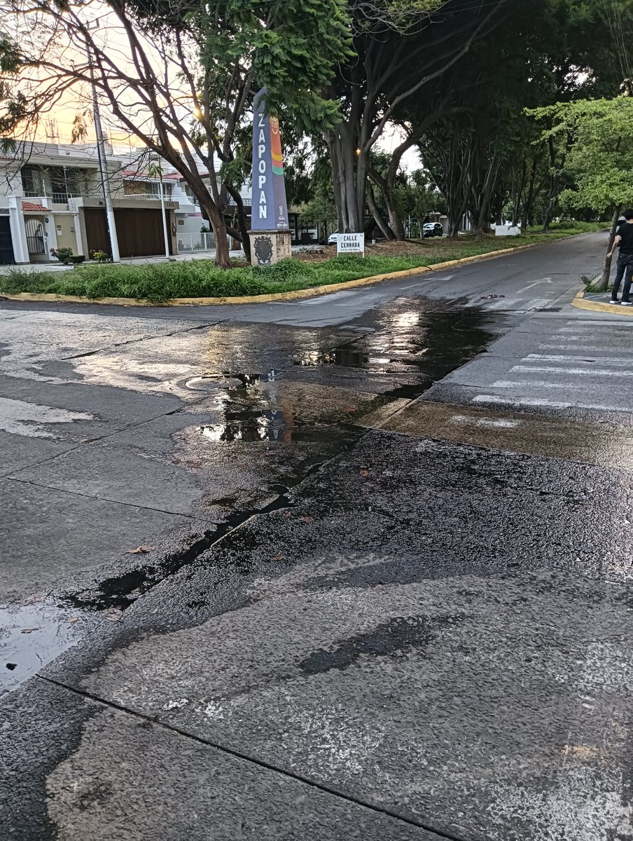 JoseAnteroCasta's tweet photo. @siapagdl @JSTapetillo @JPMS79 @Jnlomeli @sonia_ssi @Trafico_ZMG @GuadalajaraGob Estado al día sigue escurrimiento a nivel del suelo c.Primo Feliciano y San Francisco Col.Vallarta Cuauhtémoc Zona Minerva @siapagdl https://t.co/reqllxKKm4