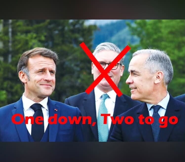 TruthFringe's tweet photo. Time to Drain the Swamp

Step 1 - Bi-Election Rejection August 31st 2026, Liberals Must not Win 1 Seat in 3 Ridings.
Step 2 - Opposition Call 4 Non-Confidence Vote in Sept for a Fall Federal Election
Step 3 - A New Beginning!🥳

#cdnpoli🇨🇦