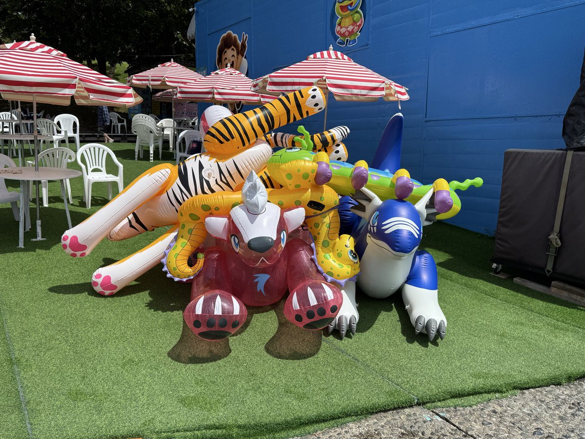 Spark_Foxxx's tweet photo. ToyShowCase https://t.co/I6NVWWObYI