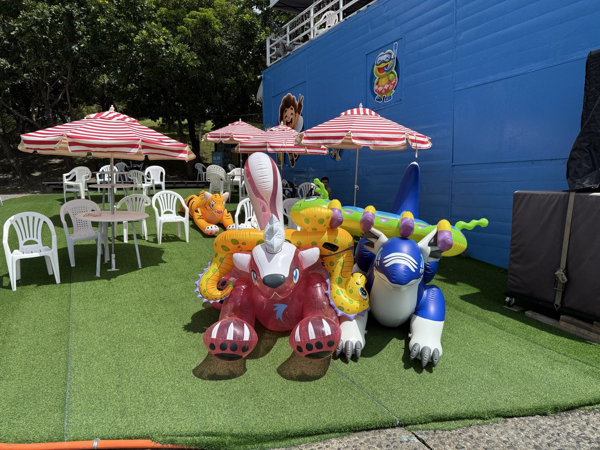 Spark_Foxxx's tweet photo. ToyShowCase https://t.co/I6NVWWObYI