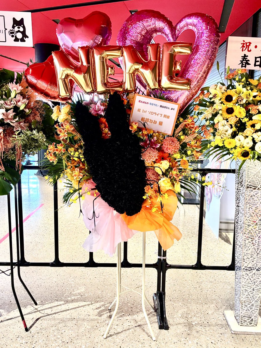 momosuzunene's tweet photo. ぽらぼからリアルクワガタ付きフラスタ貰ったリアルすぎてみんなでワロてる
ありがとう！！！！💕 https://t.co/yEakExD4Gf