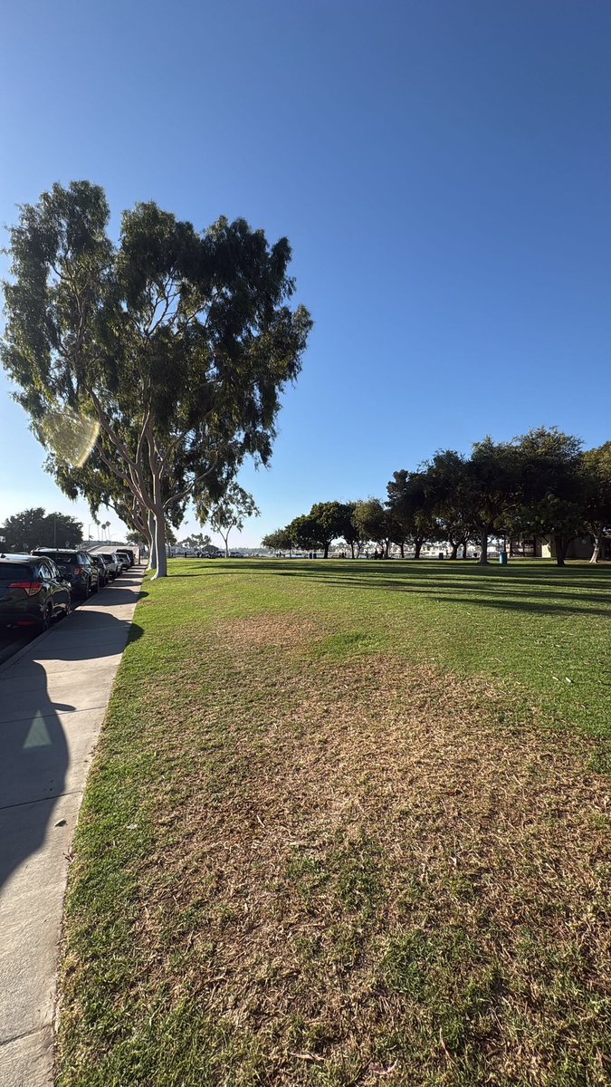 310jrxnsd's tweet photo. Not sex related but fuck running is not for the weak…anyways here’s some views from running all over lbc LMAOOO https://t.co/bPMRq7H18i