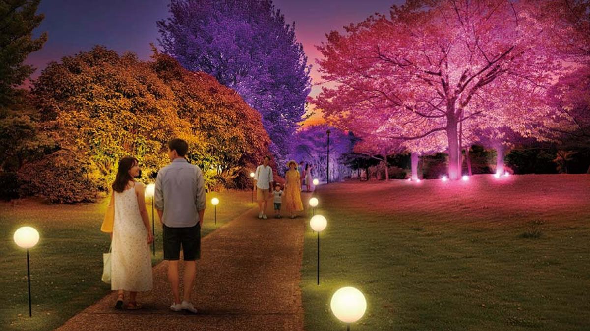 event_checker's tweet photo. 🌻2万5,000本のひまわりが咲く絶景

葛西臨海公園で
「マジ��クアワー いのちがつながる時間」開催

昼は一面のひまわり畑🌻
夜は幻想的なライトアップ🌙

📅 7/31(金)-8/16(日)
🎟️ 入場無料

フォトスポットや限定グルメも 

→ https://t.co/WmwbDh2OSB https://t.co/J4953dbUAL