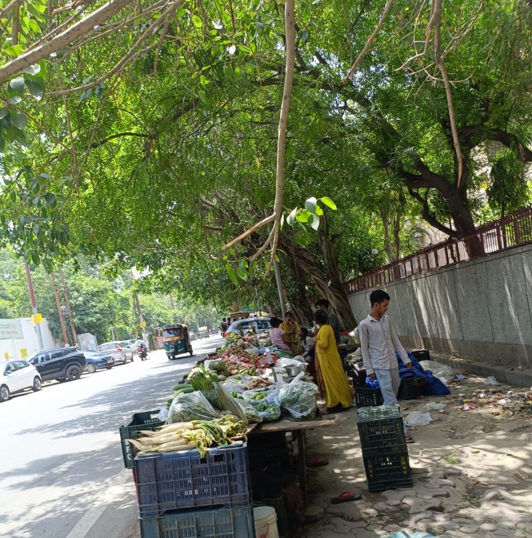 rwa_51's tweet photo. @CeoNoida @noida_authority @dmgbnagar @CP_Noida @PankajSinghBJP @dr_maheshsharma  @DCP_Noida @ACP3NOIDA  C-7 कम्युनिटी सेंटर के सामने फुटपाथ पर कब्जा करके अनऑथराइज्ड सब्जी की मार्केट परमानेंट होती जा रही है रात में भी नहीं हटती है निवासी फुटपाथ छोड़कर सड़क पर चलने को मजबूर है https://t.co/aaGiGR8a0X