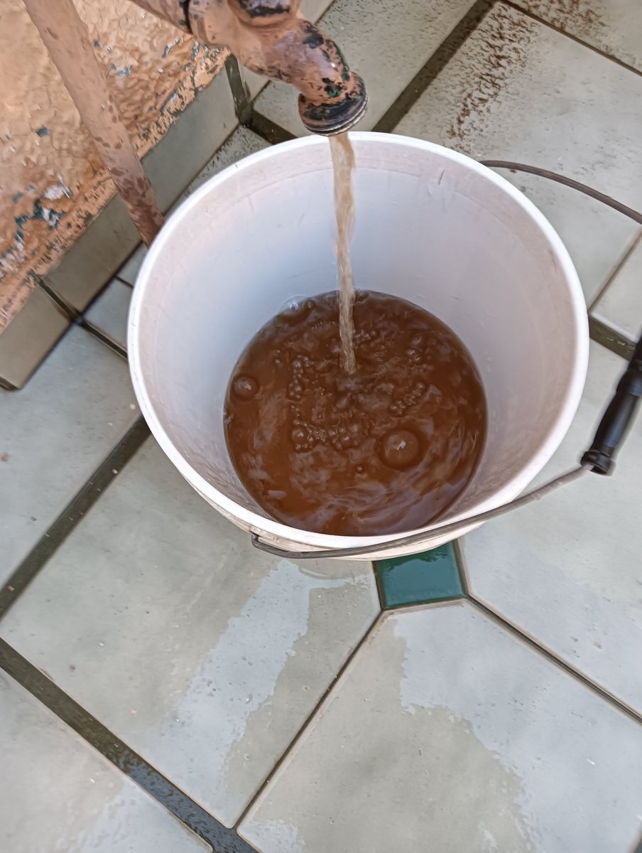 JoseAnteroCasta's tweet photo. Al revisar línea directa en casa el domingo así sale el agua que entrega el @siapagdl col. Vallarta San Jorge #guadalajara https://t.co/XJbJ55ovmt