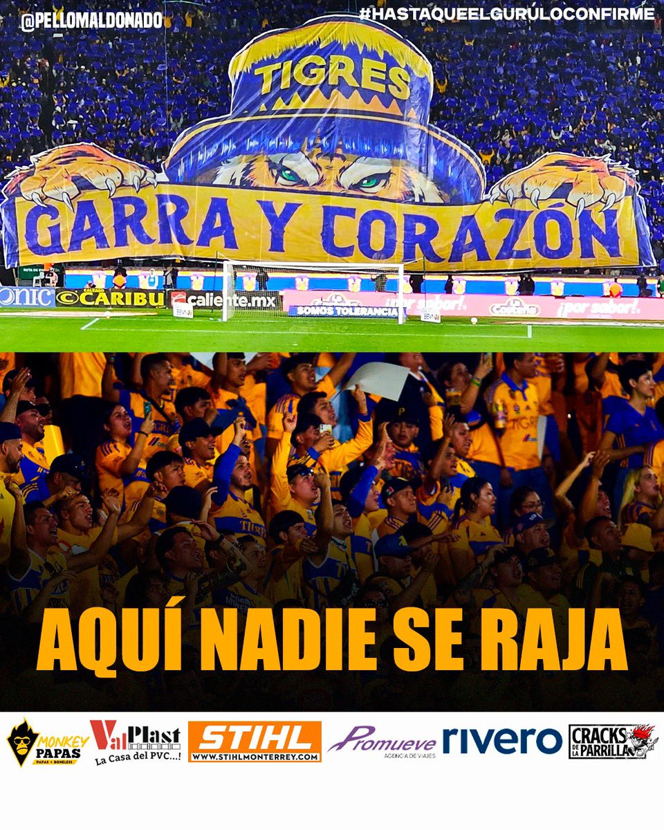 Pellomaldonado's tweet photo. Las mejores historias de Tigres se han forjado cuando el equipo cae o la incertidumbre aparece en San Nicolas! Así ha sido siempre! Y aquí no será la excepción! Tonto aquel que dé al Tigre por acabado! Tigres siempre vuelve! Y lo hace impulsado por su gran afición! Tigres, Tigres, y siempre Tigres!