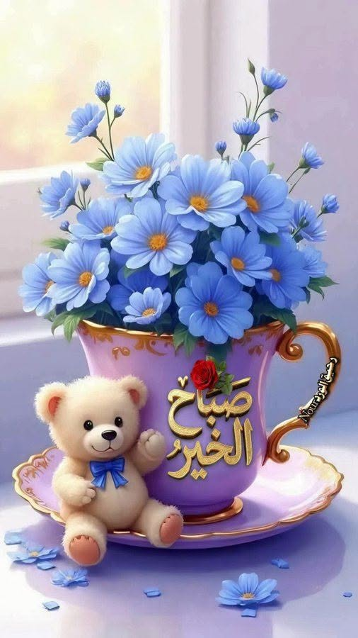 lsam_125lsam's tweet photo. https://t.co/DmMNbLJqFX
