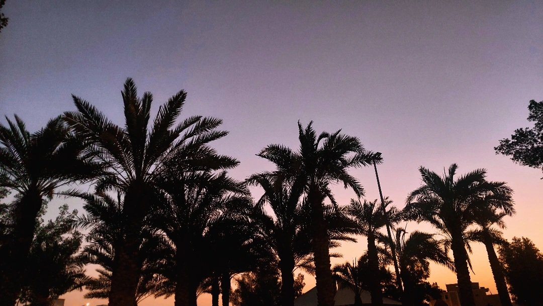 0R7_ll's tweet photo. 🌅🌴✨️ https://t.co/vpmEXUBTGW