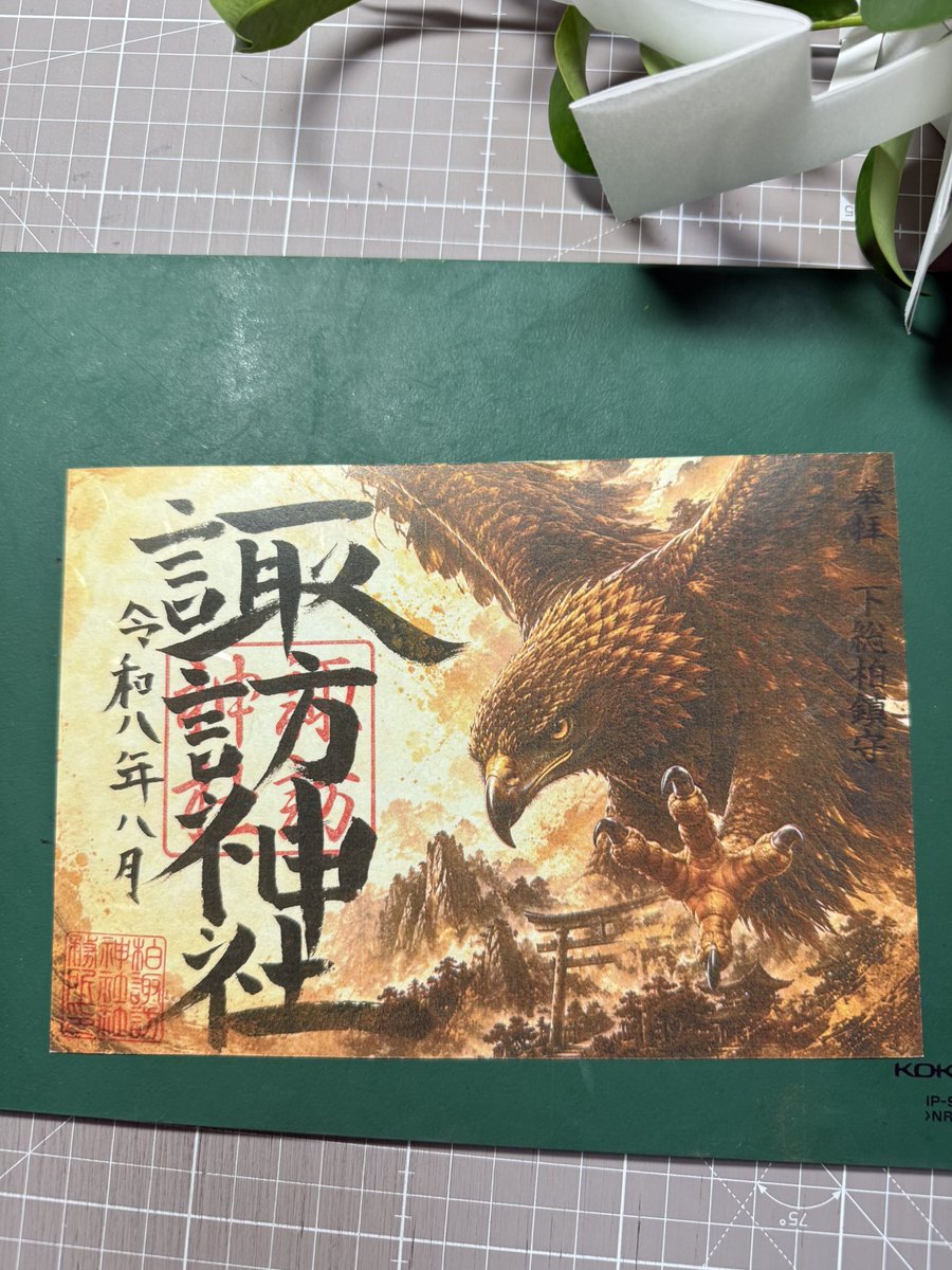 Kei's Bromeliads & 柏諏訪神社 tweet media