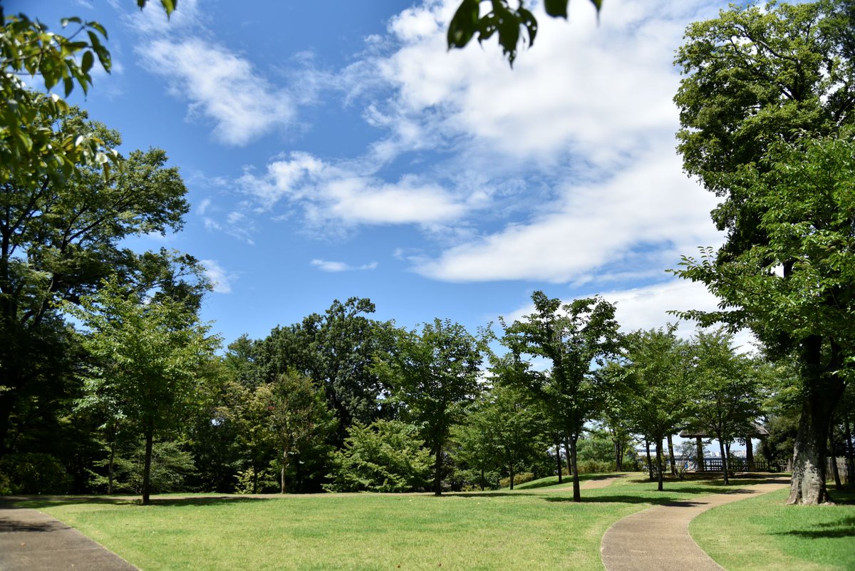 TojoMuseum's tweet photo. #戸定邸 の上には #夏の空 が広がっています。日差しはありますが、日陰では思いのほか涼しさを感じられます。#表座敷 には #気持ちいい風 が吹いています。戸定邸へのお出かけは午前中がおすすめです。
#松戸市 #Matsudo #Tojo #夏の庭 #戸定歴史館 #明治の建物 #重要文化財 #松戸の行くべき場所 https://t.co/TMjPUBKQoa
