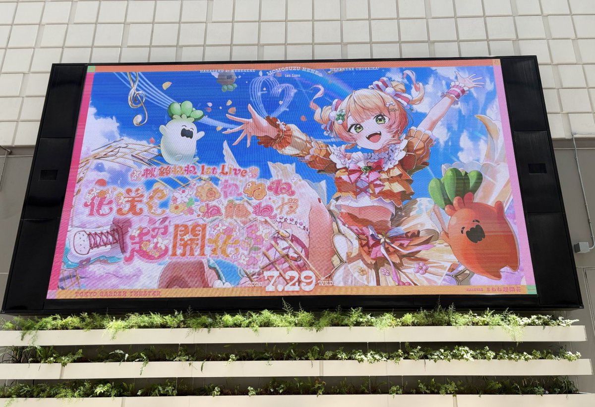 holocommu's tweet photo. 本日はついにねねさんの初ライブ！！

全力で楽しむために！
熱中症にお気をつけてくださいね！

水分補給を忘れずに、体調第一優先で楽しんでいきましょう！👏

#ねね超開花 https://t.co/QAivEgEKKa
