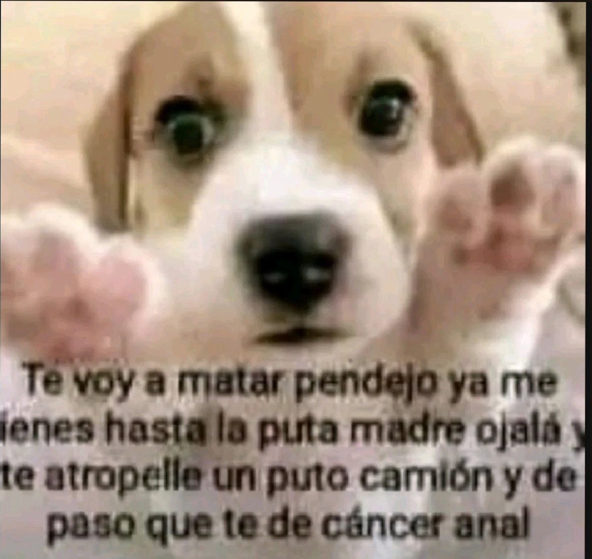 diegofabila_'s tweet photo. Yo hoy despertando con toda mi familia https://t.co/0UqmhNPhL9