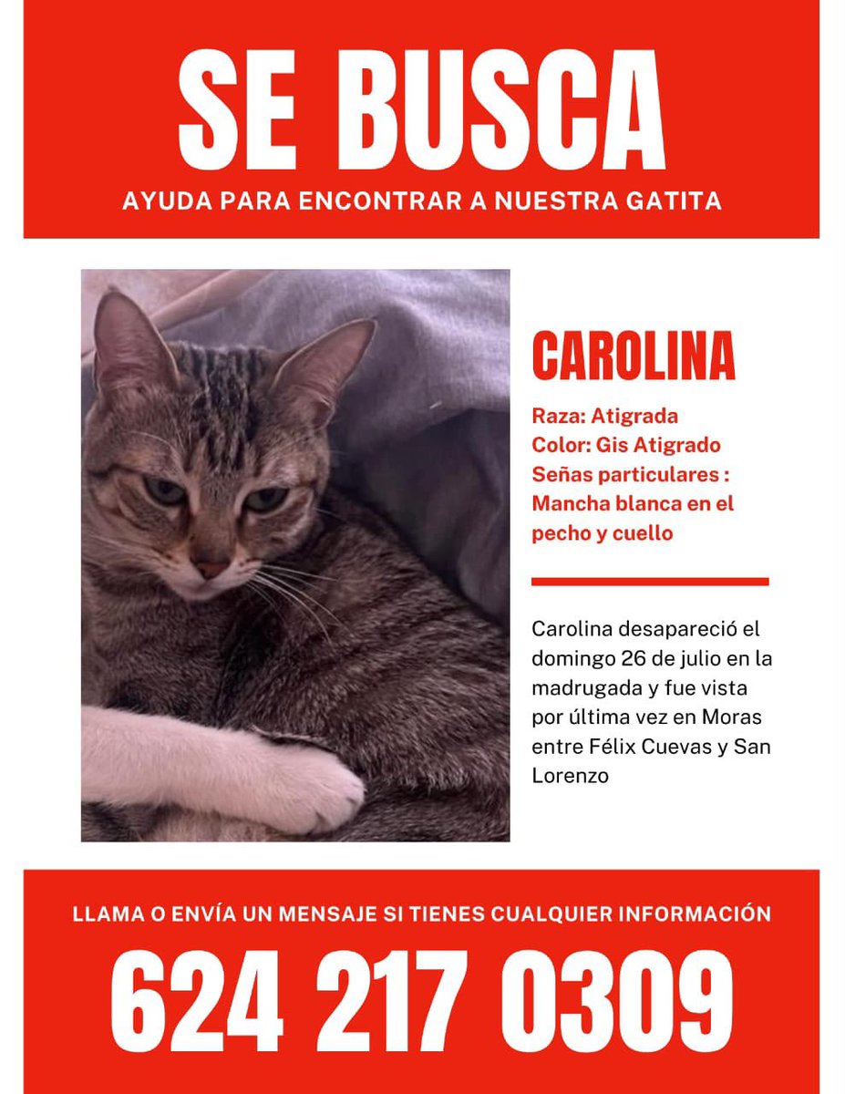 CUCALINDA's tweet photo. https://t.co/Z6b0aOdVyo
