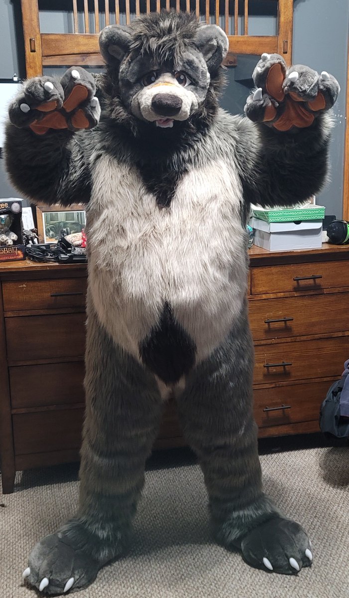 BigDumbMutt's tweet photo. There is DEFINITELY a new bear in town 👀

Suit done by @pinustudios! https://t.co/hqJHMv6JsQ