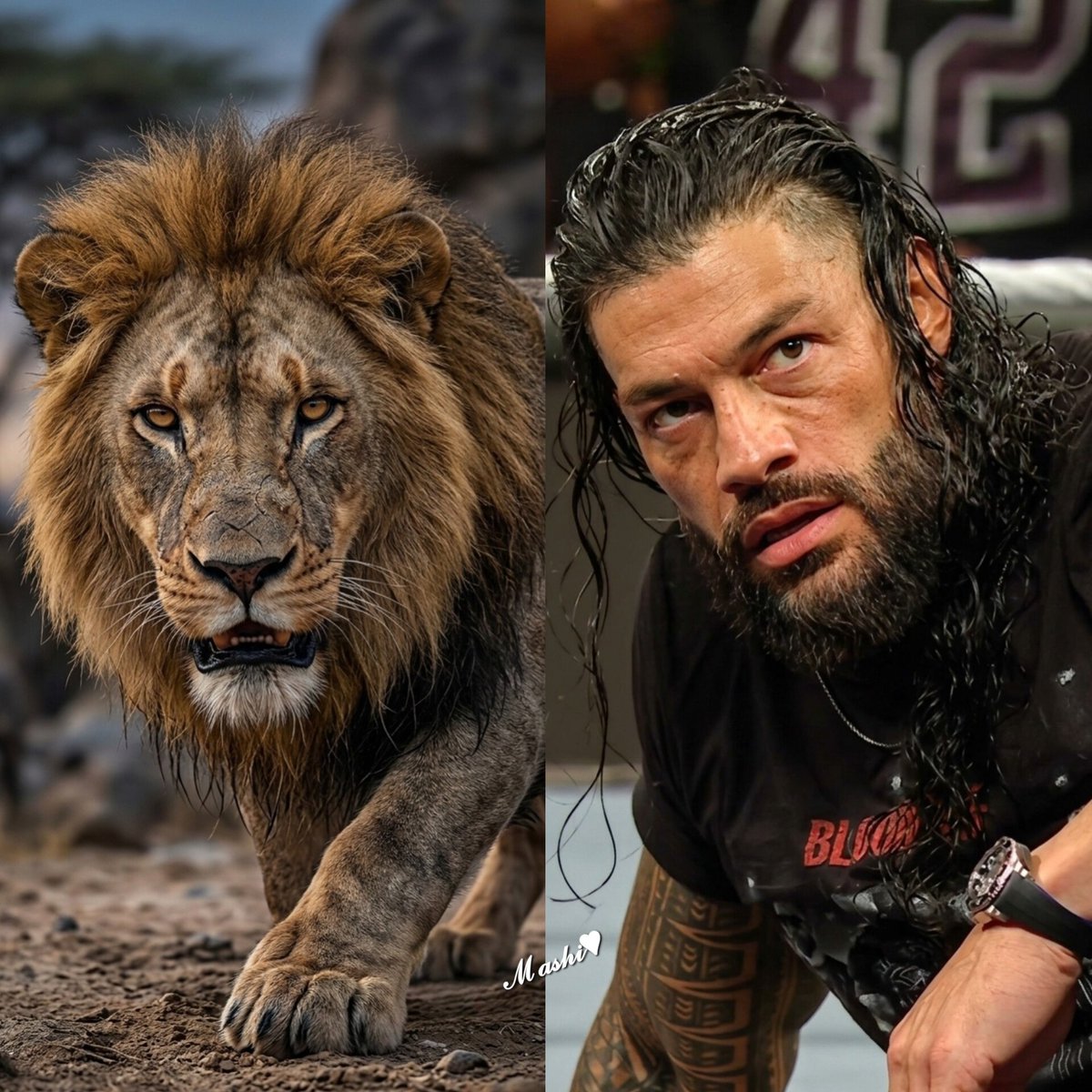 M_RomansTribe's tweet photo. 🦁 https://t.co/KoTeBhMeOr