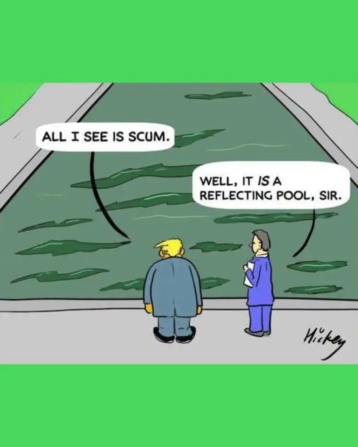 navahochick56's tweet photo. πποΈποΈβ... have a safe night friends π«..the Idiot in office NEVER ceases to amaze the MAGAcult...45 has messed with US π½πΊπΈβοΈπ¦
long enough π₯! VOTE Blue & let's #impeachTheClown π€‘ #hisReflection β‘ https://t.co/TWkd9N24hy
