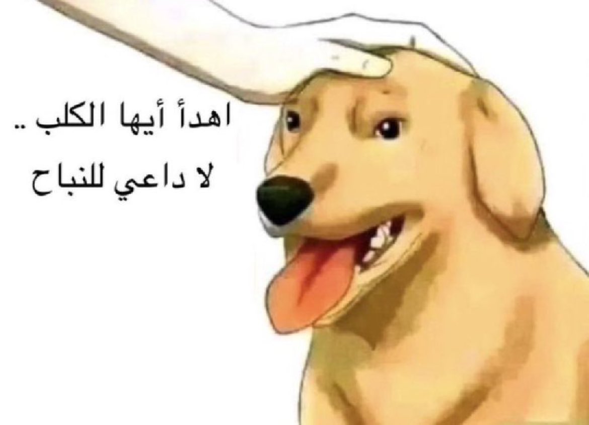 902Bodhem's tweet photo. @abbasaldhaleai https://t.co/xurBKTvPpe