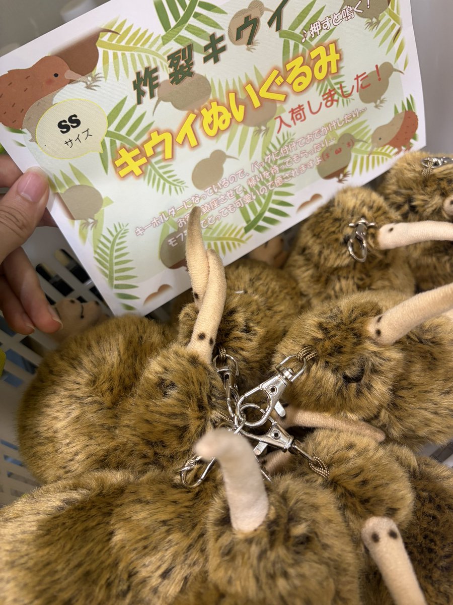 sakuretukiwi's tweet photo. エチゴヤ秋葉原さん（@echigoyAkiba_EC ）にまた色々納品しました
なんと今回ぬいぐるみも新入荷！
Tシャツも売り切れていたのでほんの少し置いてます。

売り物はレジ横とこっくり工房コーナーのすみっちょにコッソリあります笑 https://t.co/pxtUudNwnj