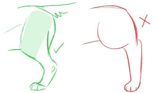 tripletfandom's tweet photo. Good anatomy makes better art ✏️ https://t.co/1wp4BPpzJZ