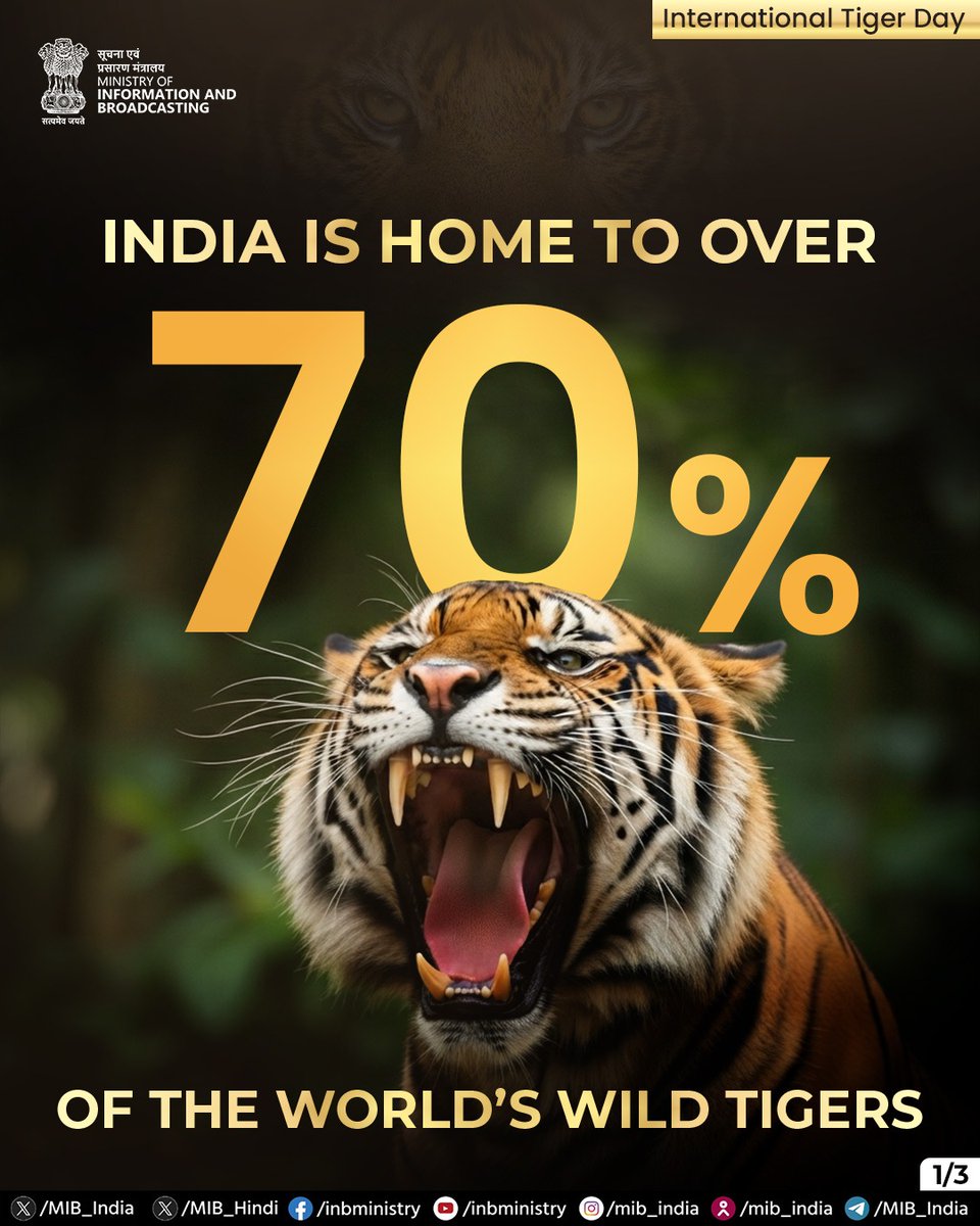 MIB_India's tweet photo. On #InternationalTigerDay, we celebrate India's remarkable conservation journey. 🐅🇮🇳

Home to over 70% of the world's wild tigers, India has increased its tiger population from 1,411 in 2006 to 3,682 in 2022 through sustained conservation efforts, habitat protection, scientific monitoring, and community participation.

#ProjectTiger #WildlifeConservation