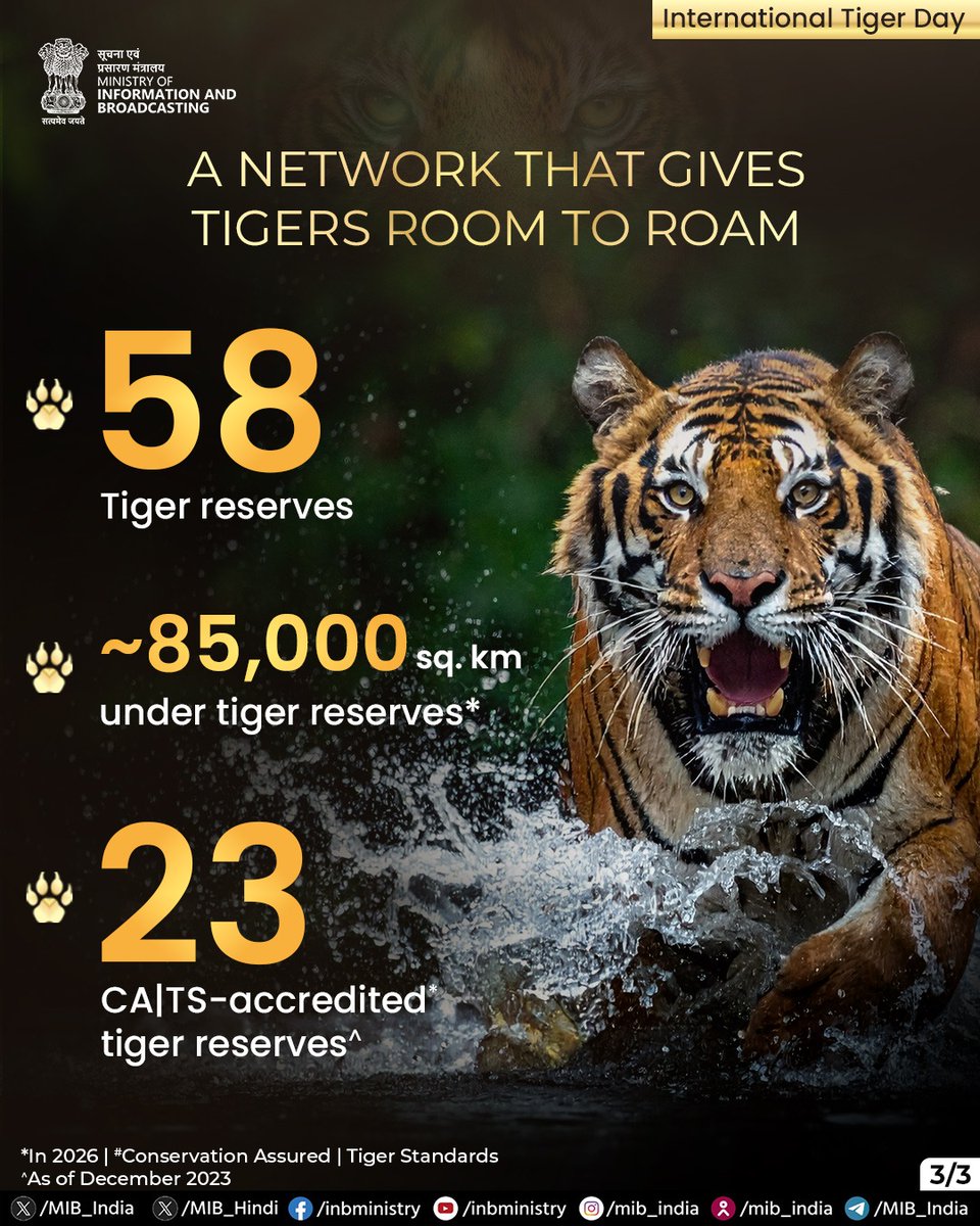 MIB_India's tweet photo. On #InternationalTigerDay, we celebrate India's remarkable conservation journey. 🐅🇮🇳

Home to over 70% of the world's wild tigers, India has increased its tiger population from 1,411 in 2006 to 3,682 in 2022 through sustained conservation efforts, habitat protection, scientific monitoring, and community participation.

#ProjectTiger #WildlifeConservation