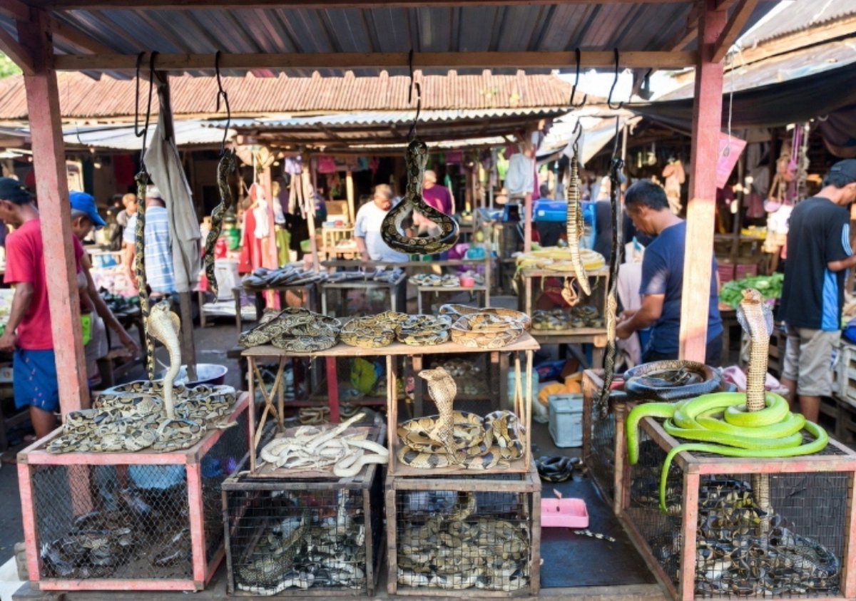ParjanKentir's tweet photo. Pasar mana ini? https://t.co/7NOgSmD3ao