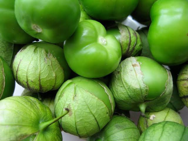 cindypandiita's tweet photo. Les presento el tomate rojo y tomate verde, o como en otros lados lo llaman, jitomate y tomatillo https://t.co/re9Fph7lRZ